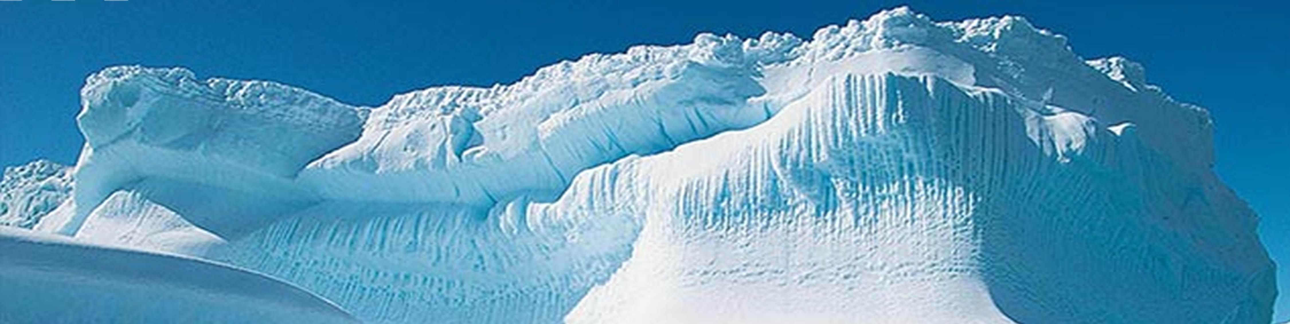 arcticzerologog